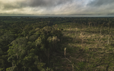 Cumbre de Brasil será punto de quiebre para frenar deterioro de la Amazonía