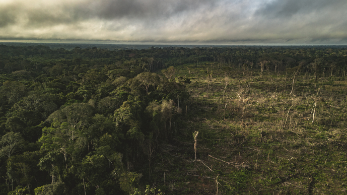 Cumbre de Brasil será punto de quiebre para frenar deterioro de la Amazonía