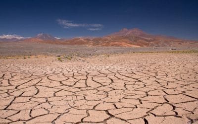 ONU pide restaurar 1.000 millones de hectáreas de tierra degradada