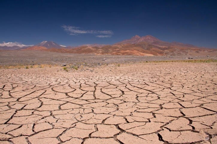 ONU pide restaurar 1.000 millones de hectáreas de tierra degradada