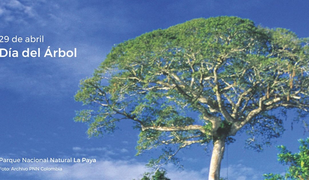 Sembrar un árbol es sembrar vida