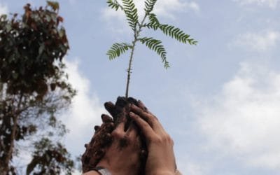 Preocupación por la salud y el ambiente está cada vez más posicionada