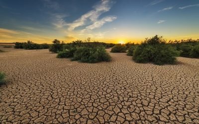 Sequía, problema medioambiental sin fronteras