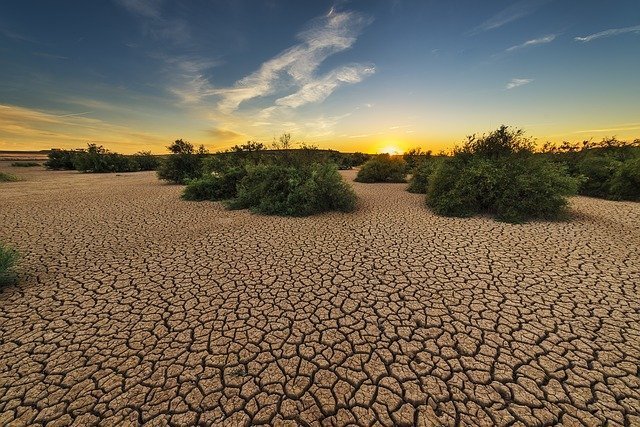 Sequía, problema medioambiental sin fronteras