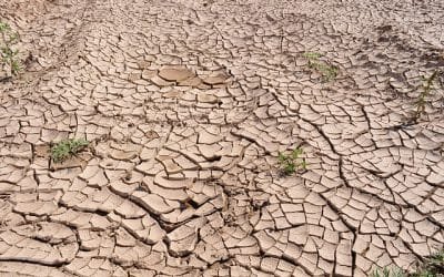 Aumenta sensación de urgencia climática