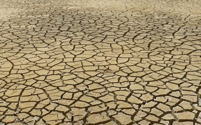 Claves del paquete legislativo de acción climática europea