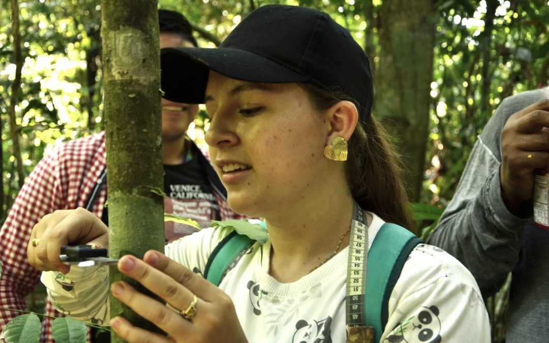 Las mujeres, los bosques y la conservación de la Amazonía