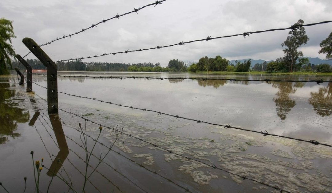 Ecosistemas se verán afectados por ciclones, tormentas y heladas