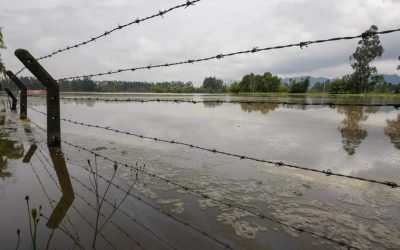 Ecosistemas se verán afectados por ciclones, tormentas y heladas