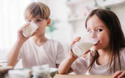 ¿Sabe qué leche de vaca elegir? Acá le contamos