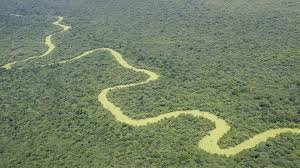 El Impenetrable, la ecorregión boscosa más grande de Sudamérica, está bajo amenaza