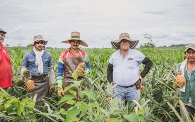 MinAgricultura y SENA lanzan convocatoria nacional del Fondo Emprender