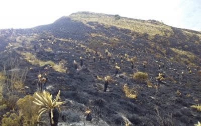 Incendio en el páramo de Santurbán está controlado