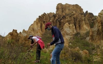 Siembran 500 plántulas en el Área Natural Única Los Estoraques