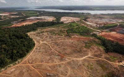 Un 40 % del Amazonas se convertiría en sabana