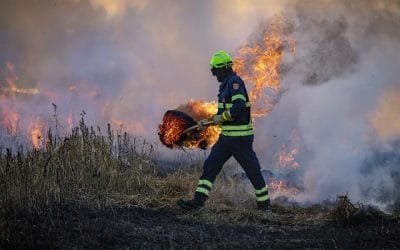 Vinculan incendio de Colorado con cambio climático