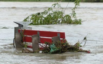 Piden fortalecer compromisos frente al cambio climático y biodiversidad