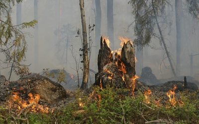 Cierran espacios naturales en España ante riesgo de incendios