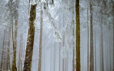 Inusual tormenta de lluvia y nieve cae sobre el sur de California