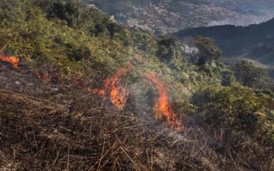 Alertan por posible aumento de incendios en cobertura vegetal