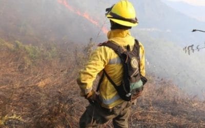 Alcaldía de Medellín invita a evitar incendios forestales en temporada seca