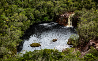 Claves para cuidar el medioambiente en el planeta