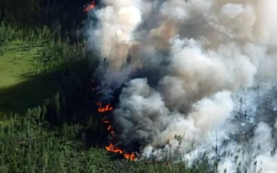 En 2030 habría más de un desastre natural diario, según estudio