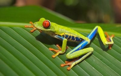 Sondeos en la ONU deben generar acuerdos por la naturaleza