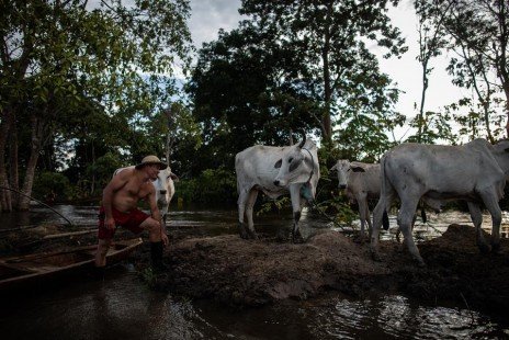 Seguridad climática del planeta peligra por la destrucción de la Amazonía