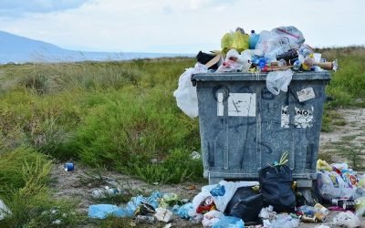 ¿Quién apoya más un tratado contra la contaminación?