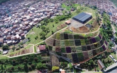 Se realiza en Medellín la Semana de la Gestión Ambiental