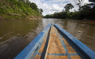 Cumbre Amazónica debe resultar en compromisos a favor del bioma