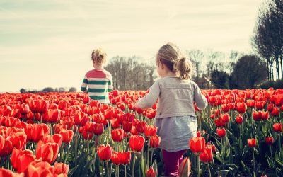 Inédito comienzo de invierno en Europa deja temperaturas altas de récords