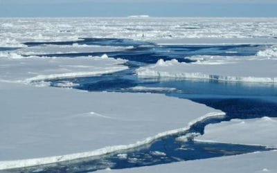 Estudio lanza alerta sobre hielo marino en el Ártico