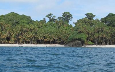 Código de Minas condenó minería tradicional a la ilegalidad: Minambiente