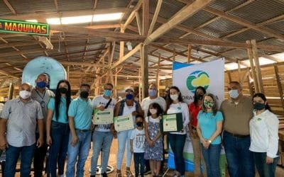 Corantioquia contribuye a la reactivación económica del sector forestal en el Bajo Cauca