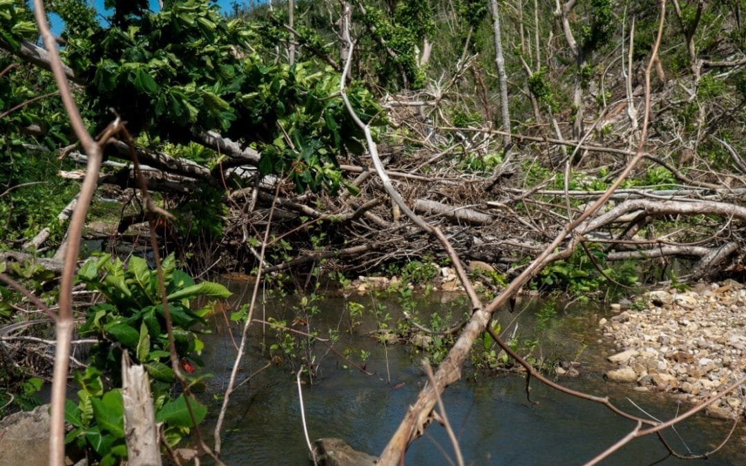 Ley del Clima, el proyecto que el Minambiente presentará al Congreso