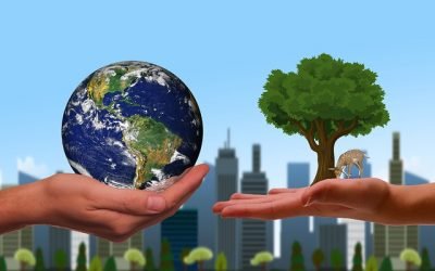 Trazan plan para proteger a los defensores ambientales del país