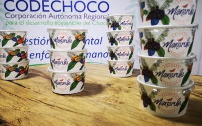 El negocio verde que transforma lo mejor de los frutos nativos del Pacífico en helados