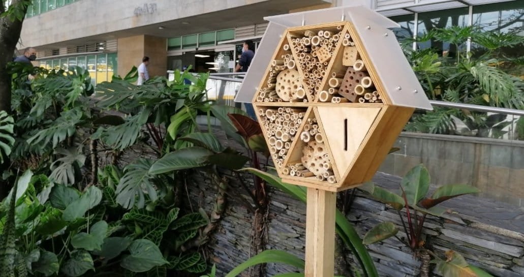 Sector de Medellín será refugio para abejas solitarias