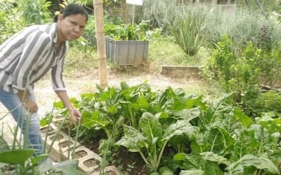 Doña Nancy: una infancia entre flores y 16 años entre hortalizas