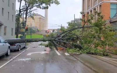 Al menos un muerto por el huracán Ida que deja sin energía eléctrica a New Orleans