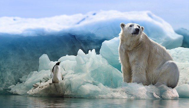 La pérdida de hielo marino se acelera