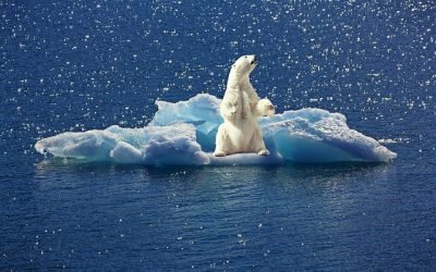 Advierten de «caos climático» agravado por la guerra