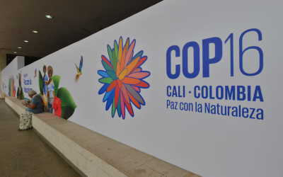 La COP16 inicia en Cali con urgentes llamados a proteger la biodiversidad mundial