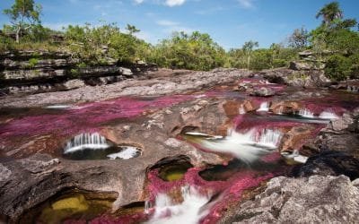 Por temporada seca cerrarán Caño Cristales