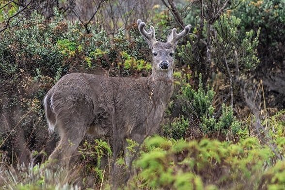 Regresa ecoturismo al Parque Nacional Natural Chingaza