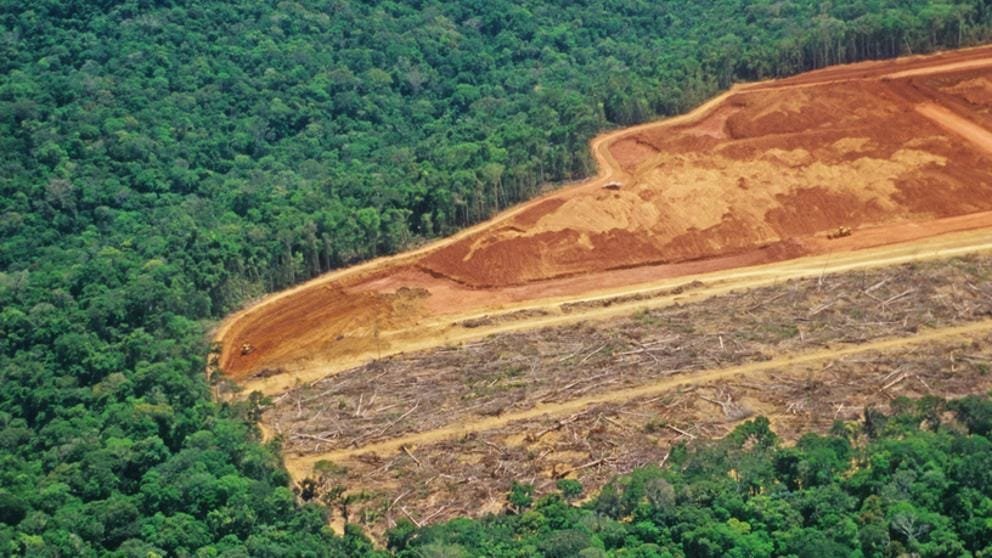 Piden prohibir deforestación en la Amazonía