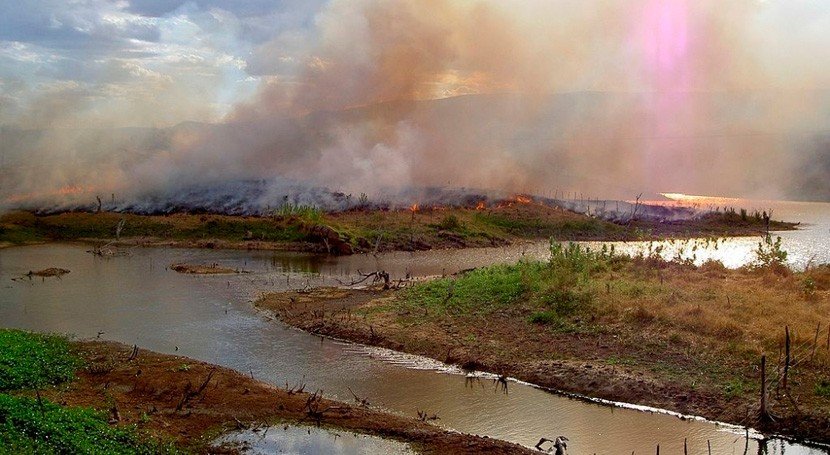 Degradación forestal asociada a incendios fue alarmante en la Amazonía en 2024