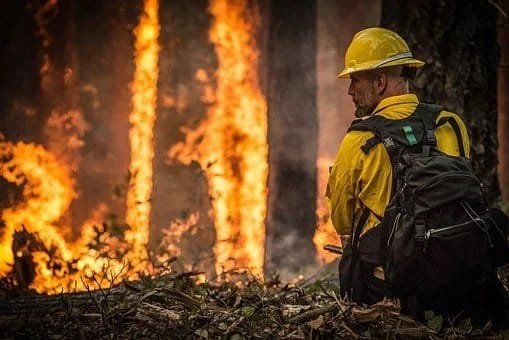Incendios afectan al humedal más extenso del planeta